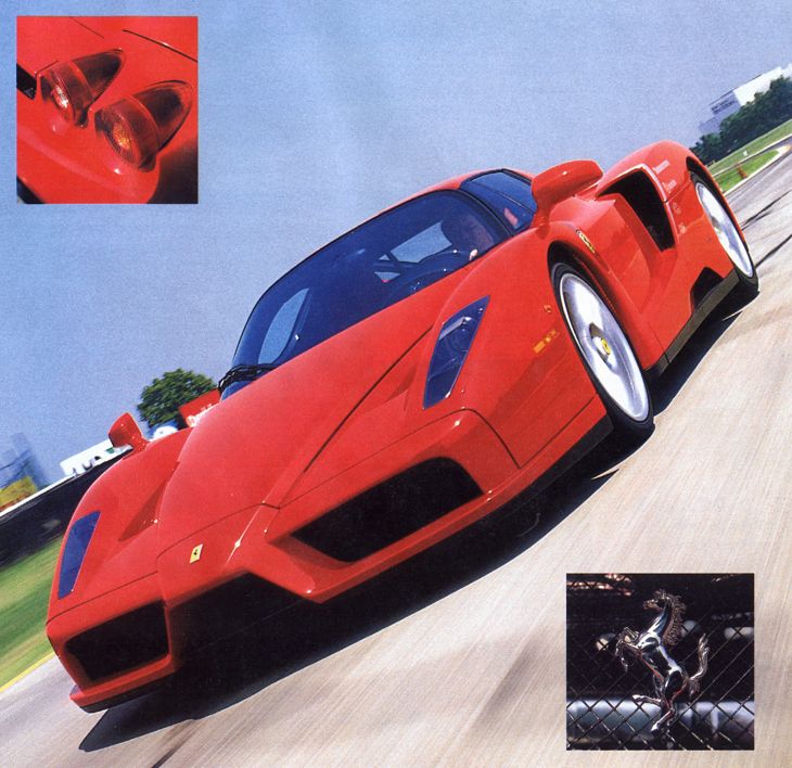 enzo_01.jpg